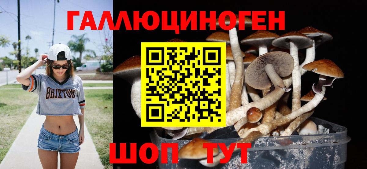Галлюциногенные грибы Magic Shrooms Нурлат