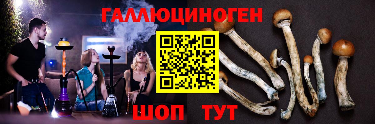 Нурлат  где можно купить наркотик  Вход с VPN  Псилоцибиновые грибы мухоморы 
